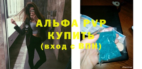 стаф Дубовка