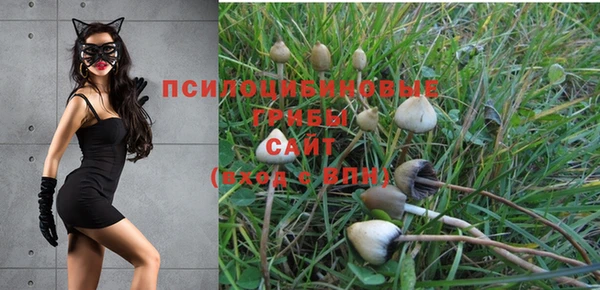 МДПВ Балахна