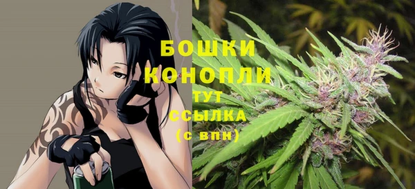 дмт Аркадак