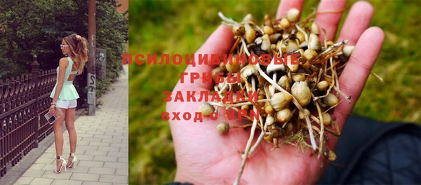 наркотики Баксан