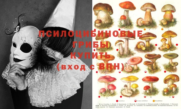 дживик Сосновоборск