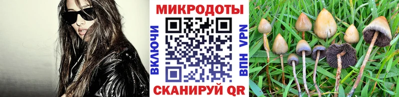 Псилоцибиновые грибы Magic Shrooms Валдай
