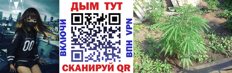 это как зайти  цена   Валдай  Конопля AK-47 